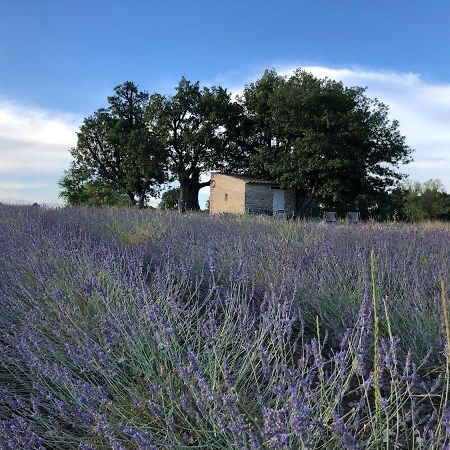 Vila Cabanon Du Berger Saignon Exteriér fotografie