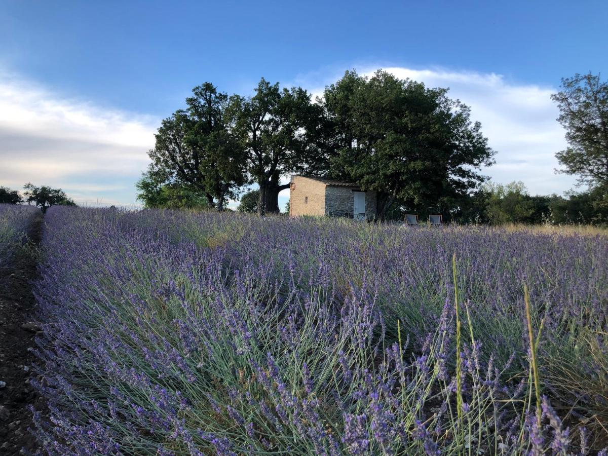 Vila Cabanon Du Berger Saignon Exteriér fotografie